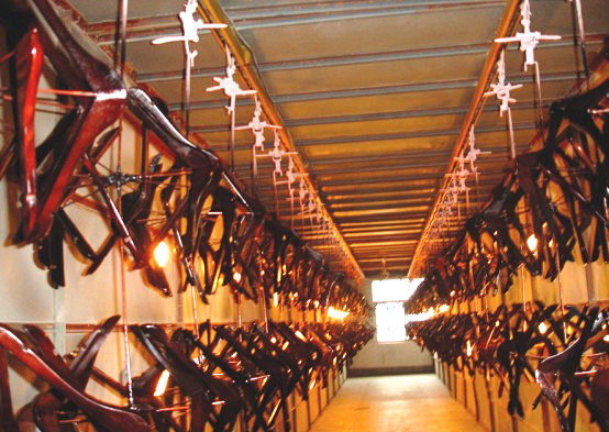 木質（zhì）衣架塗裝線