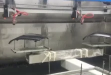 探秘（mì）水簾式噴（pēn）房：高效環保的噴塗解決（jué）方案